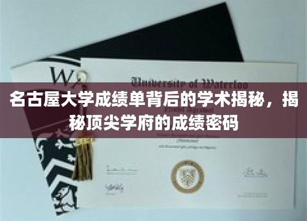 解码名古屋大学成绩单，探寻顶尖学府的秘密档案