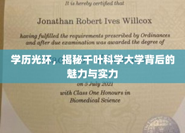 千叶科学大学，揭秘隐藏在学历光环下的学术魅力与卓越实力