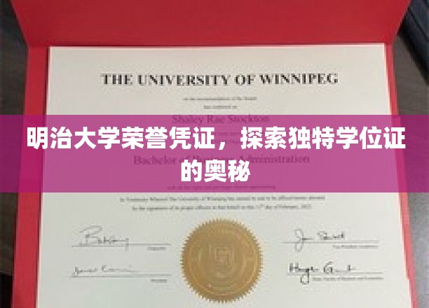 明治大学神秘荣誉凭证，揭秘独特学位证背后的故事