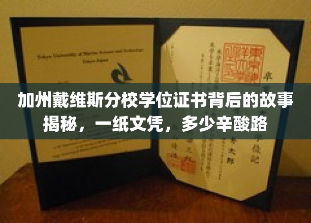 加州戴维斯文凭背后的传奇，探寻学子逐梦之路