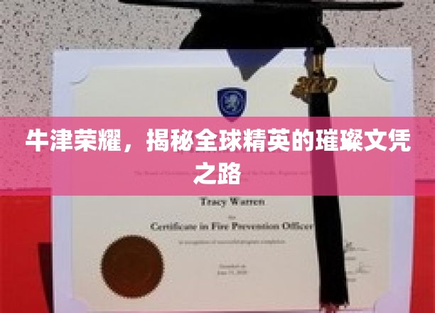 牛津之光，探寻世界精英背后的辉煌学历轨迹