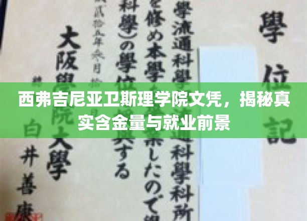 西弗吉尼亚卫斯理学院文凭，揭秘真实含金量与就业前景