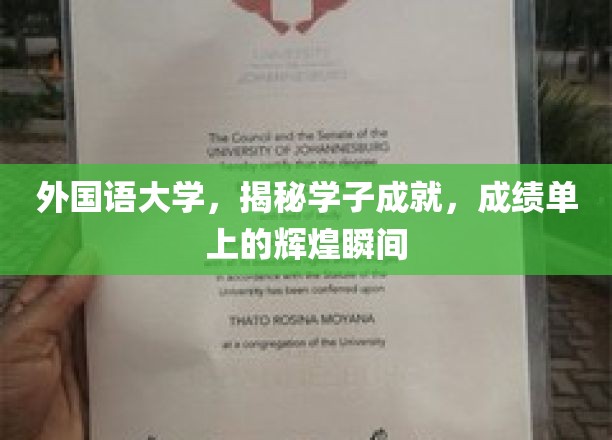 外国语大学，揭秘学子成就，成绩单上的辉煌瞬间