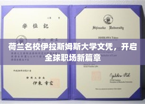 荷兰伊拉斯姆斯大学文凭，解锁国际职场精英之路