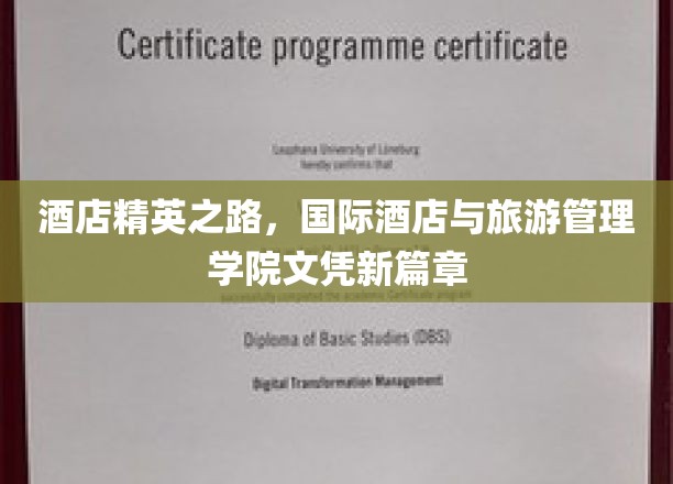酒店行业新航标，国际酒店与旅游管理学院开启精英培养新纪元