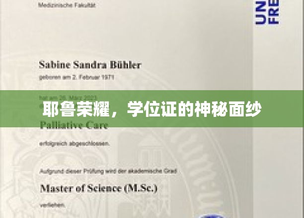 耶鲁荣耀，学位证的神秘面纱