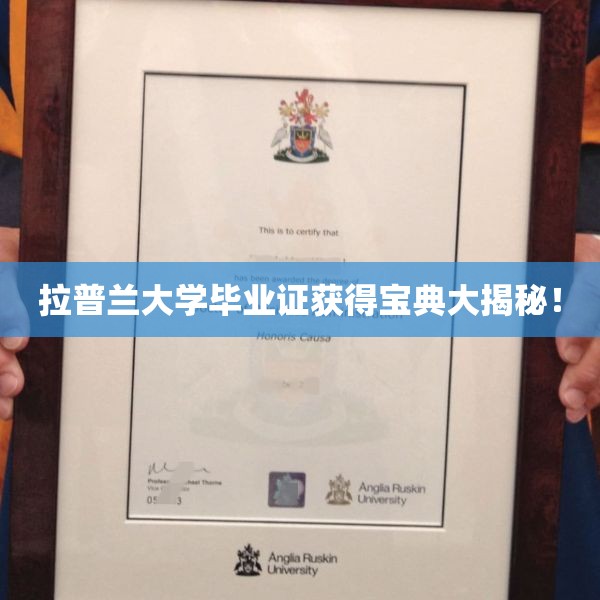 拉普兰大学毕业证获得宝典大揭秘！
