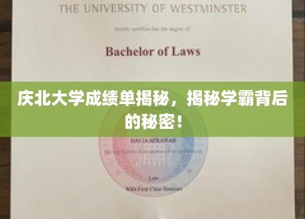 庆北学霸养成记，揭开高分背后的神秘面纱