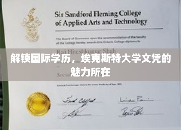 埃克斯特大学文凭，跨越国界的教育瑰宝揭秘