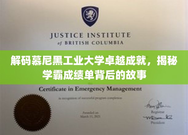 慕尼黑工大学霸传奇，探寻卓越背后的学术秘籍