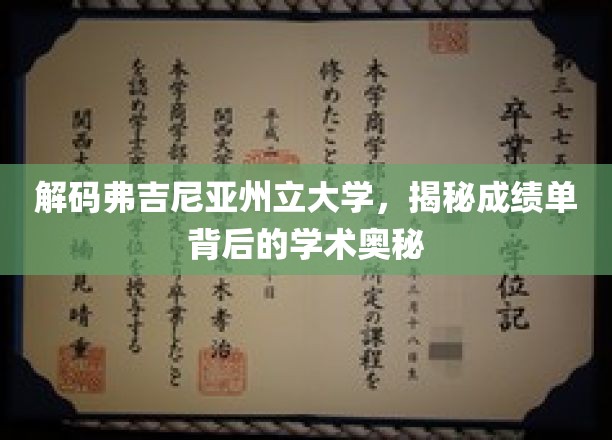 揭开弗吉尼亚州立大学成绩单的秘密，探索学术成就的奥秘之路