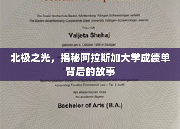 探寻阿拉斯加大学成绩单背后的神秘北极之光