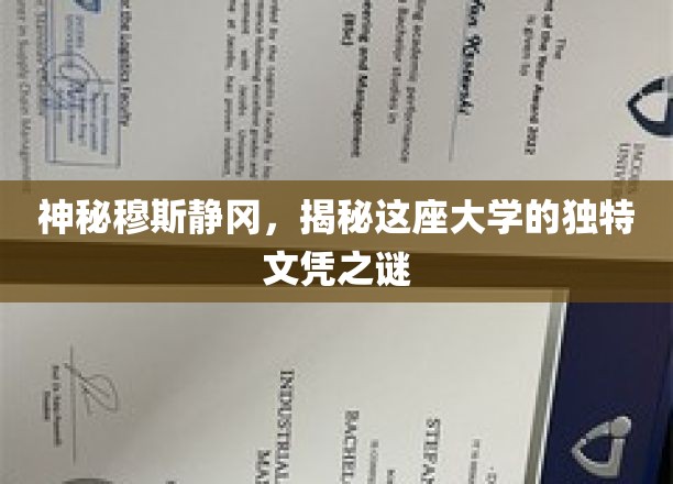 探寻静冈穆斯林学府，揭秘独特文凭背后的故事