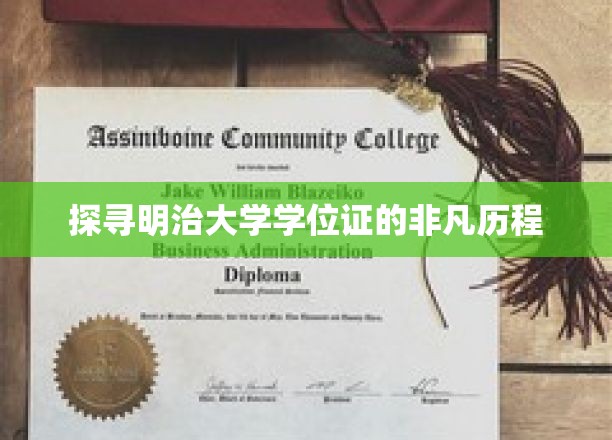明治大学学位证背后的传奇轨迹