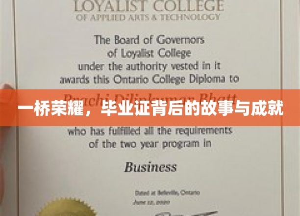 桥上骄子，毕业证映照下的传奇人生轨迹