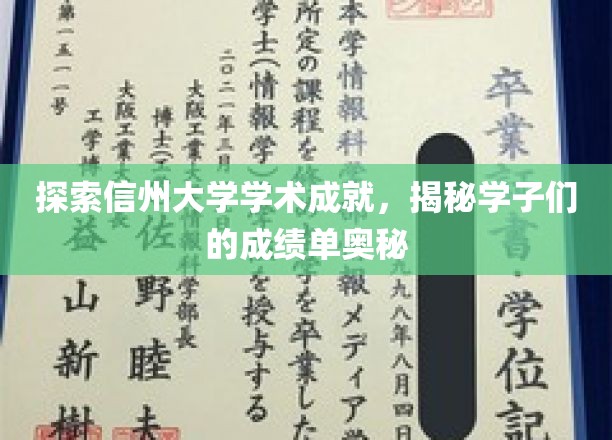 解码信州大学卓越成就，学子成绩单背后的秘密力量