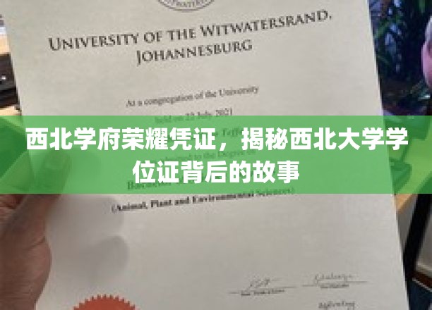 西北学府荣耀凭证，揭秘西北大学学位证背后的故事