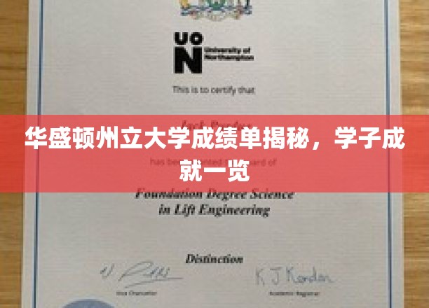 华盛顿州立大学成绩单深度解析，学子成就尽收眼底