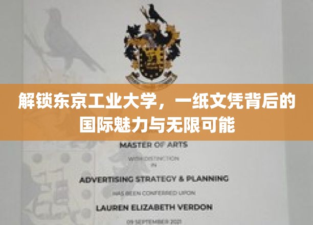 东京工业大学文凭，揭开国际精英培养的神秘面纱