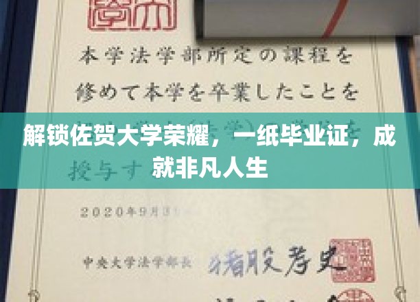 佐贺大学毕业生传奇，毕业证背后，非凡人生路