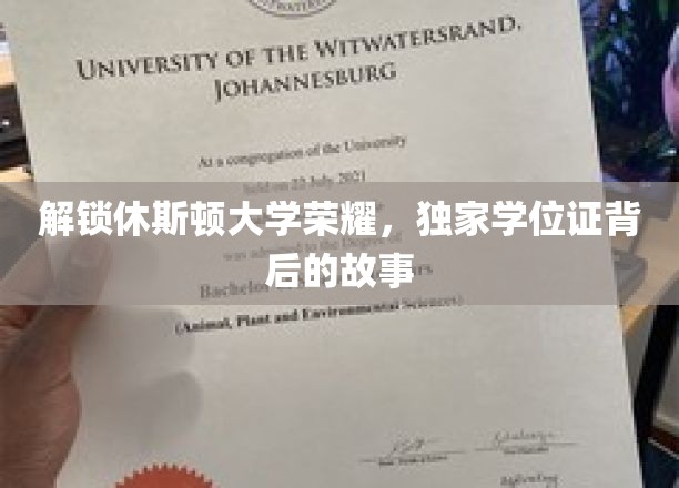休斯顿大学学位证背后的传奇揭秘，独家荣耀之路