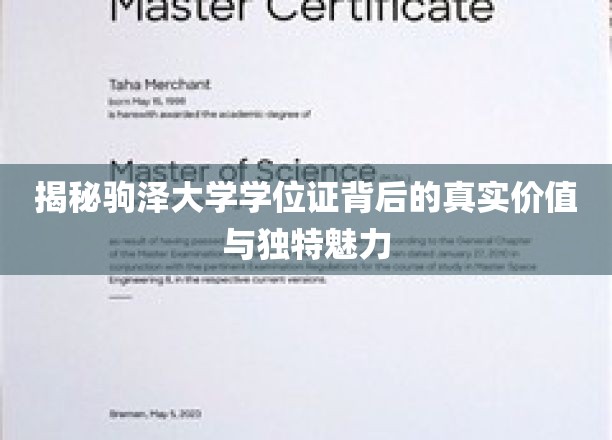探索驹泽大学学位证，价值与魅力的双重奥秘揭晓