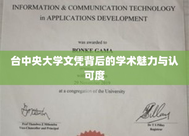 台中央大学文凭，探寻学术价值与广泛认可的秘密花园