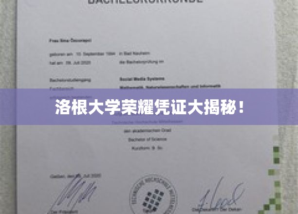 洛根大学荣耀凭证大揭秘！