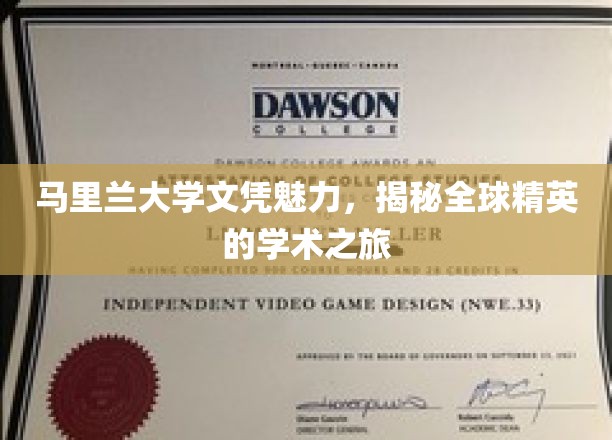 马里兰大学文凭之光，探索世界精英教育的非凡足迹