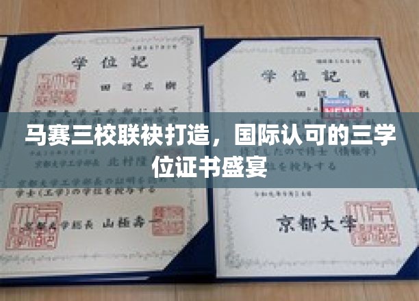 跨国教育盛宴，马赛三校联手，成就国际三学位梦想之旅