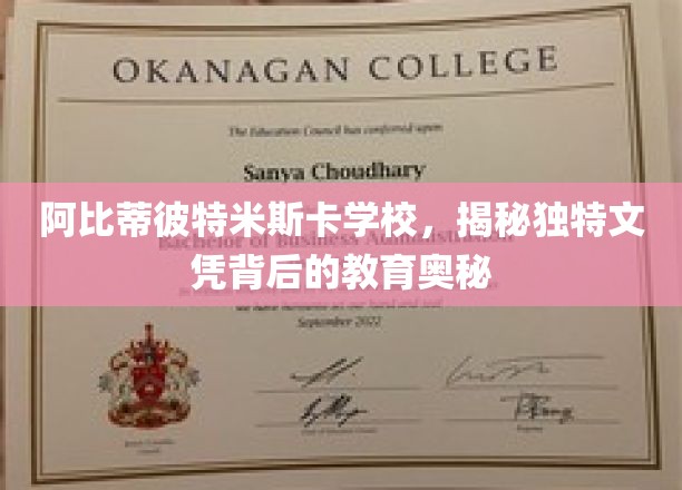 解码阿比蒂彼特米斯卡，揭秘独特文凭背后的教育奇境