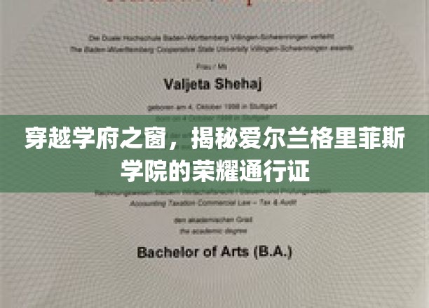 穿越学府之窗，探寻爱尔兰格里菲斯学院的荣耀通行证