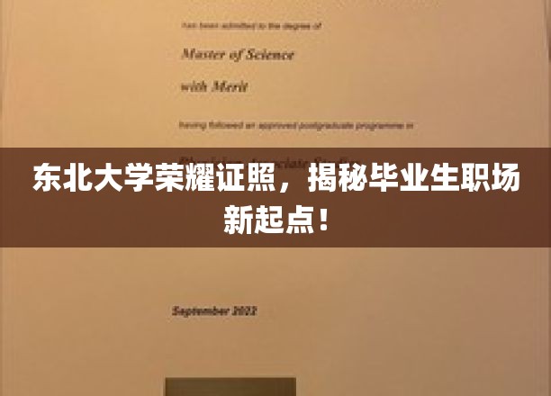 东北大学荣耀证照，开启毕业生职场新篇章！