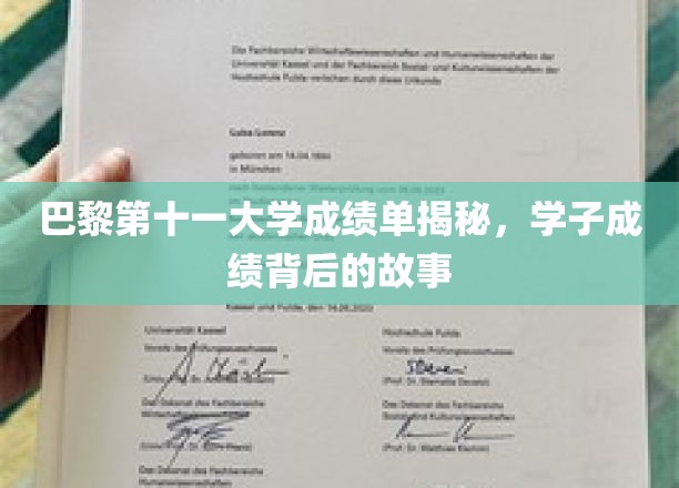 解码巴黎第十一大学成绩单，揭秘学子背后的学术历程