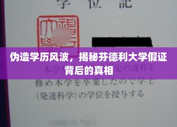 伪造学历风波，揭秘芬德利大学假证背后的真相