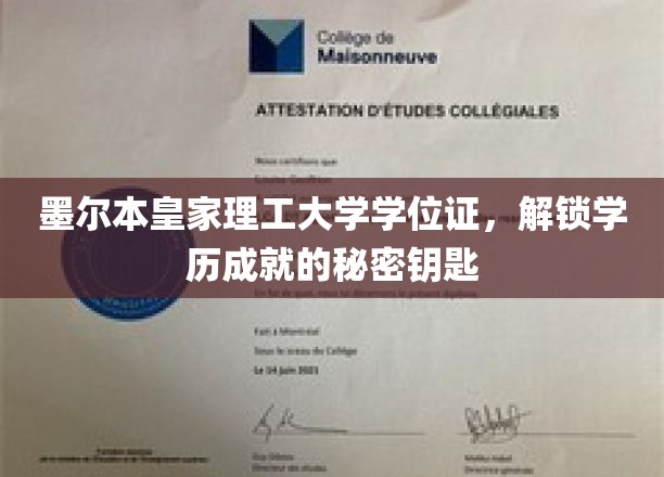 解锁墨尔本皇家理工大学学位证，成就非凡学历之旅的通行证