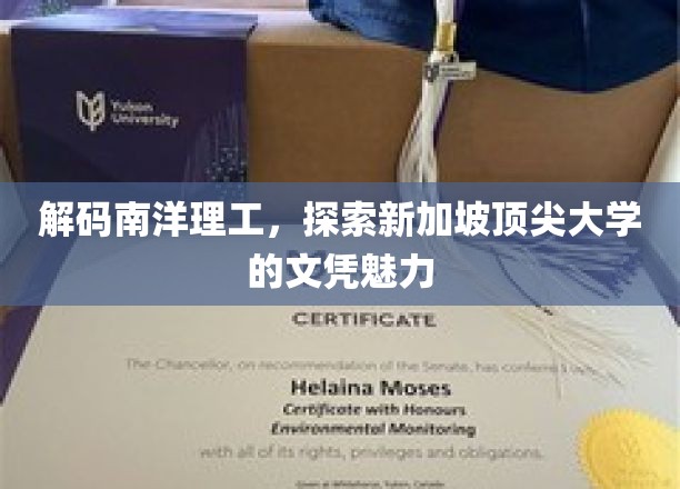 揭秘南洋理工大学，新加坡顶尖大学的文凭背后的故事