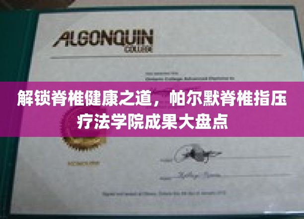 探寻脊椎养生秘籍，帕尔默指压疗法学院成果揭秘之旅