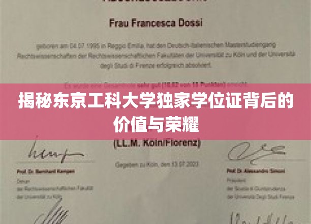 揭秘东京工科大学独家学位证背后的价值与荣耀