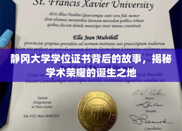 探寻静冈大学荣耀学位背后的传奇篇章
