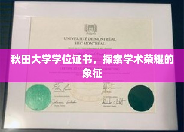 秋田大学学位证书，探寻学术荣耀的象征