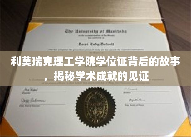 利莫瑞克理工学院学位证背后的故事，揭秘学术成就的见证