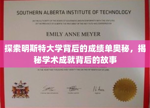 解码明斯特大学卓越成就，探寻学术辉煌背后的秘密之路