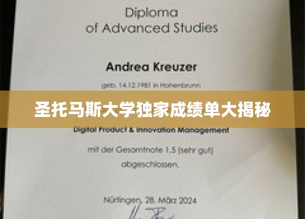揭开圣托马斯大学成绩单背后的秘密面纱