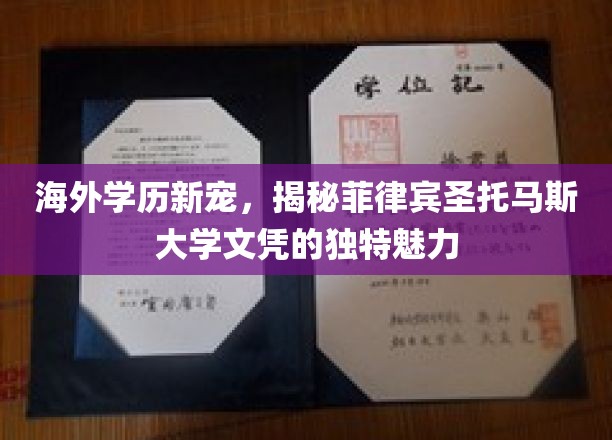 菲律宾圣托马斯大学，海外学历新选择，解锁国际教育新亮点