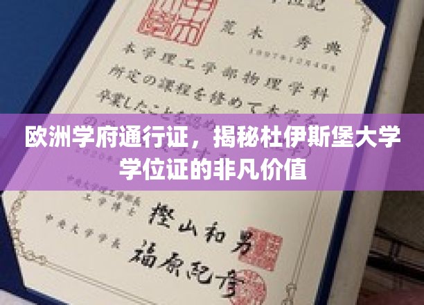 穿越欧洲学术殿堂，杜伊斯堡大学学位证的无尽魅力