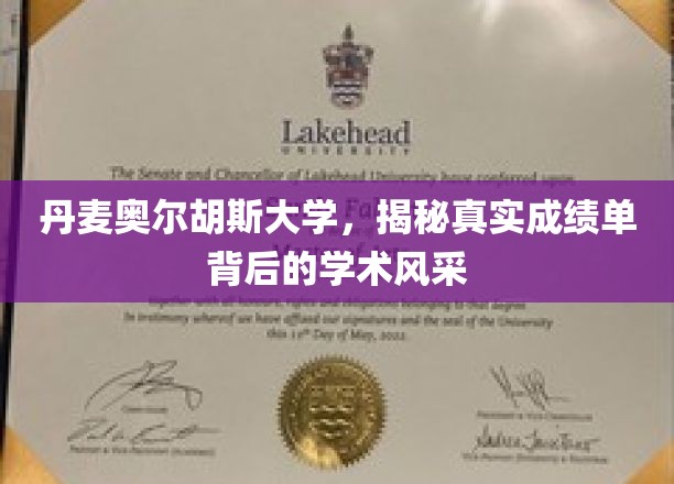 丹麦奥尔胡斯大学，揭秘真实成绩单背后的学术风采