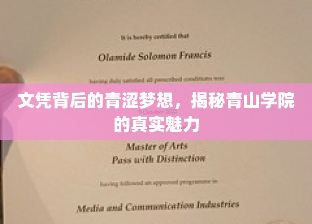青山学院，揭开文凭背后的青春传奇，探寻梦想成真的秘境