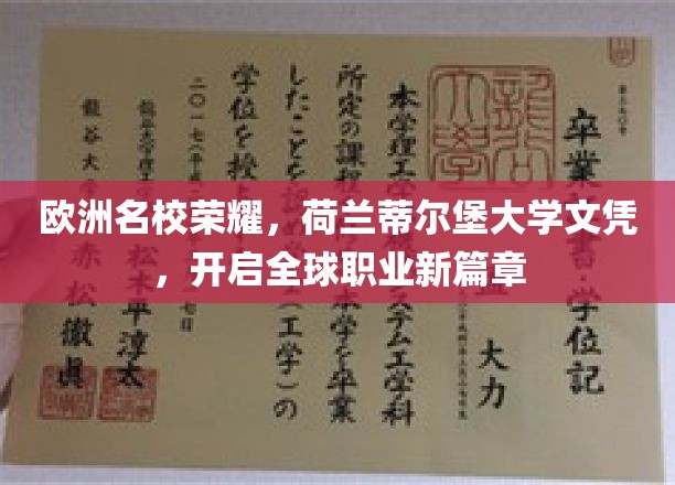 荷兰蒂尔堡大学荣耀启航，跨国文凭助您职场飞跃新里程