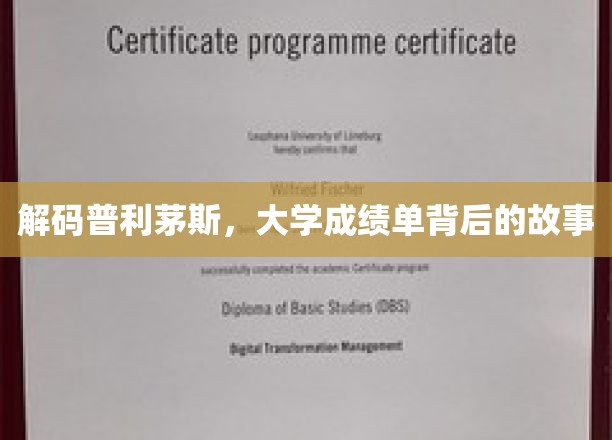 探索普利茅斯大学成绩单背后的秘密世界